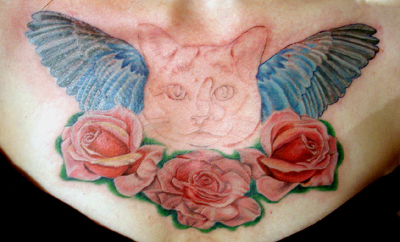 Julio Rodriguez - kitty cat in progress